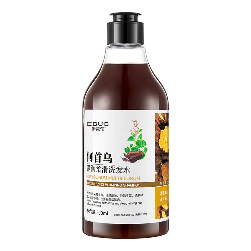 Shampooing au Gingembre 500ml et Après-shampoing He Shou Wu